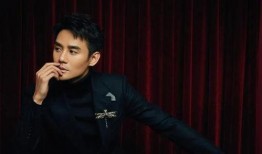 娱乐圈八卦最新爆料王凯,娱乐圈再掀波澜